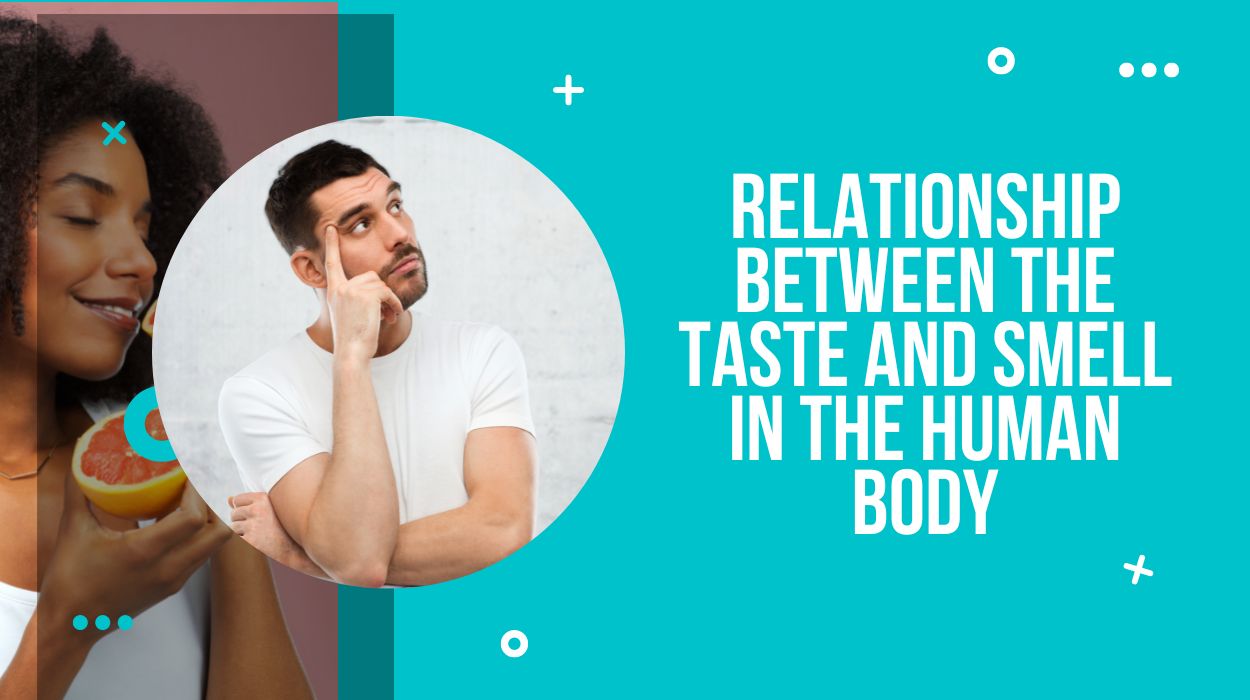 Relationship Between the Taste and Smell in the Human Body