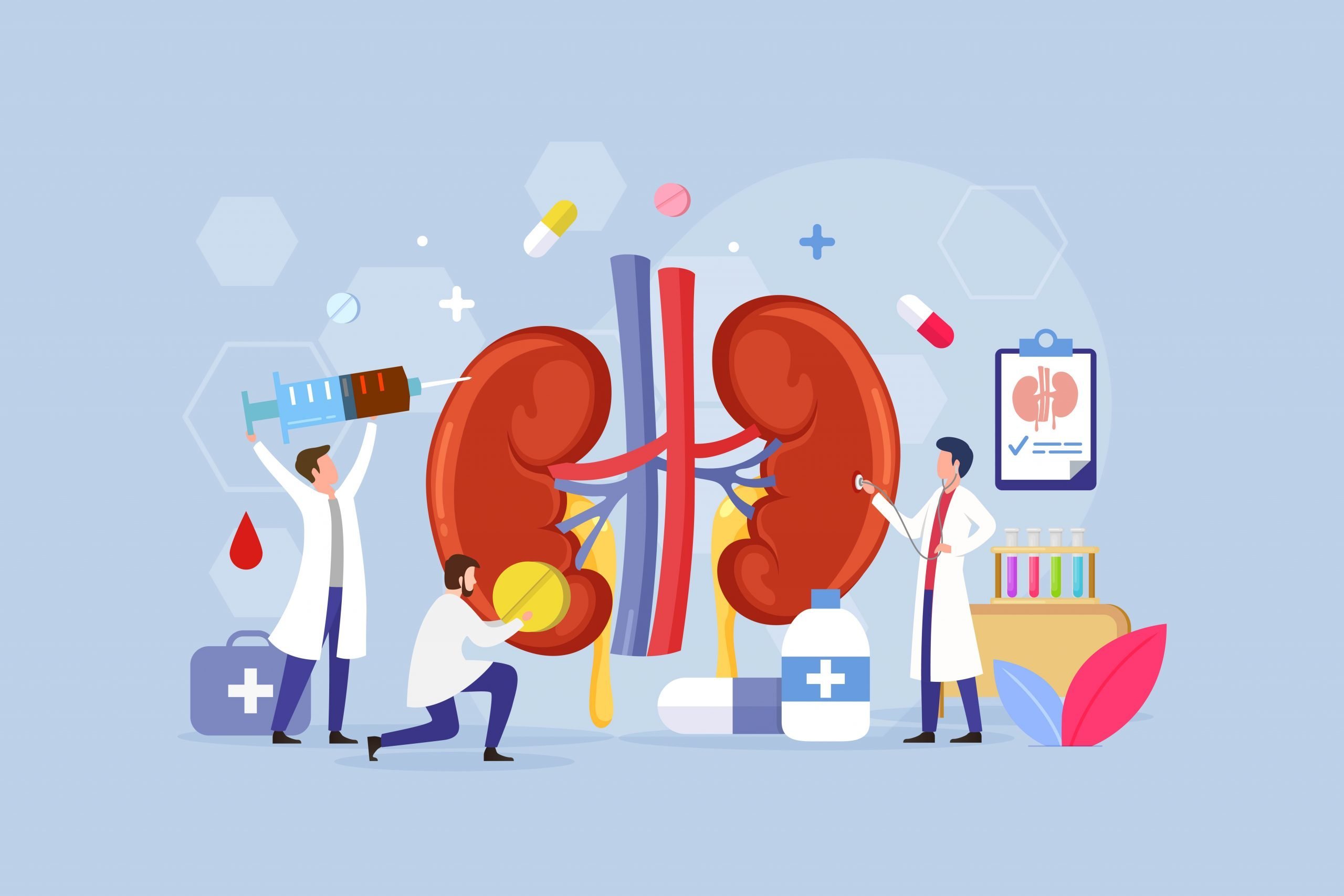 Kidney Health scaled 1