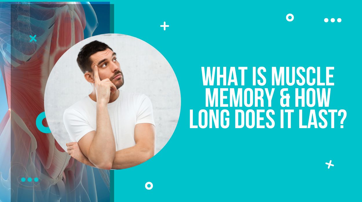 What is Muscle Memory & How Long Does it Last?