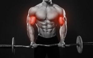 Benefits of Standing Barbell Curl