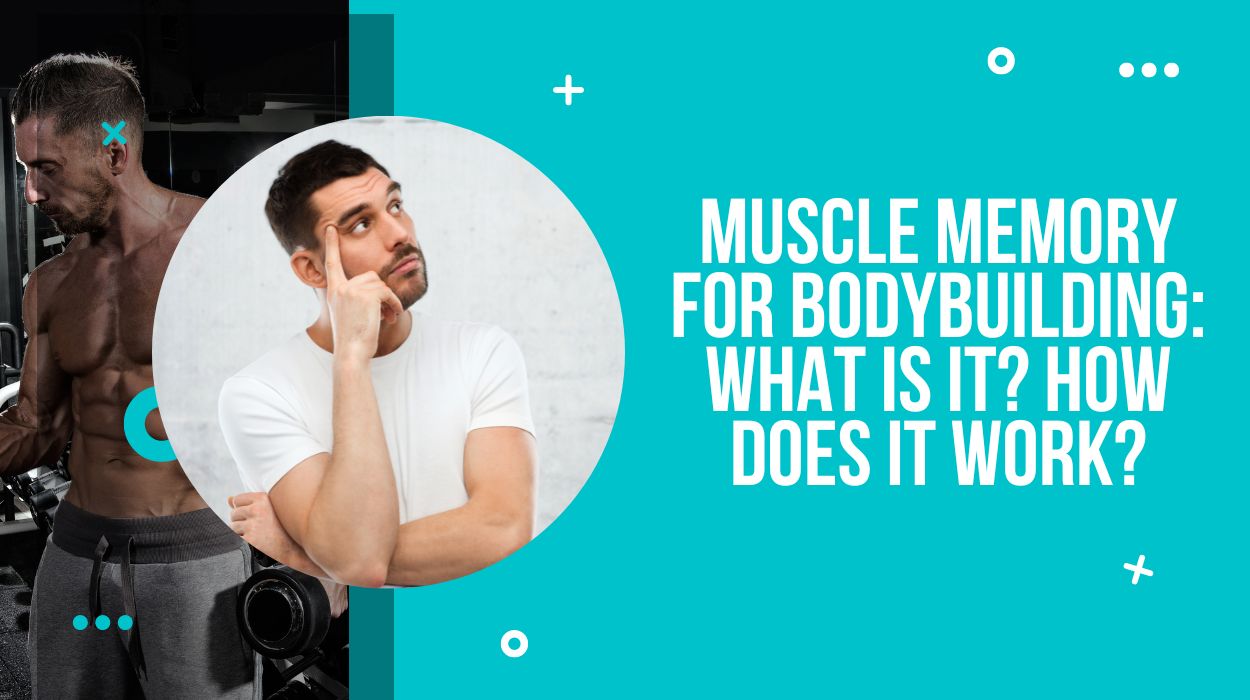Muscle Memory For Bodybuilding: What Is It? How Does It Work?