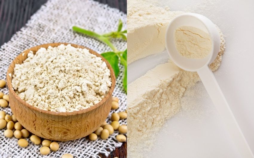 Soy protein vs Whey protein