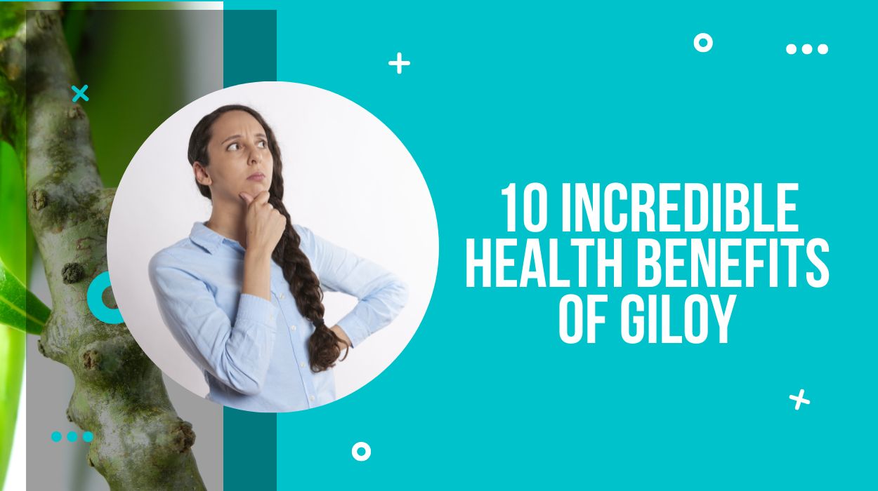10 Incredible Health Benefits Of Giloy - Drug Research