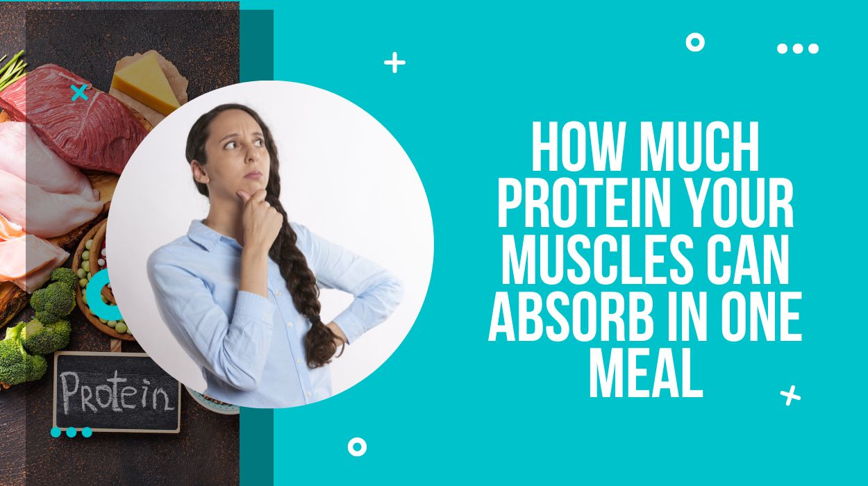 How Much Protein Your Muscles Can Absorb In One Meal