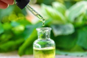 Step-by-step Guide To Make Tea Tree Oil At Home