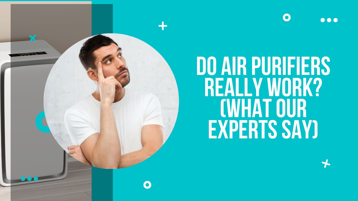 Do Air Purifiers Really Work? (What Our Experts Say)