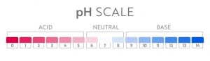 Ph Scale