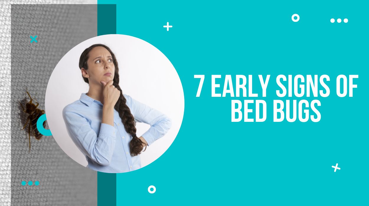 7 Early Signs Of Bed Bugs