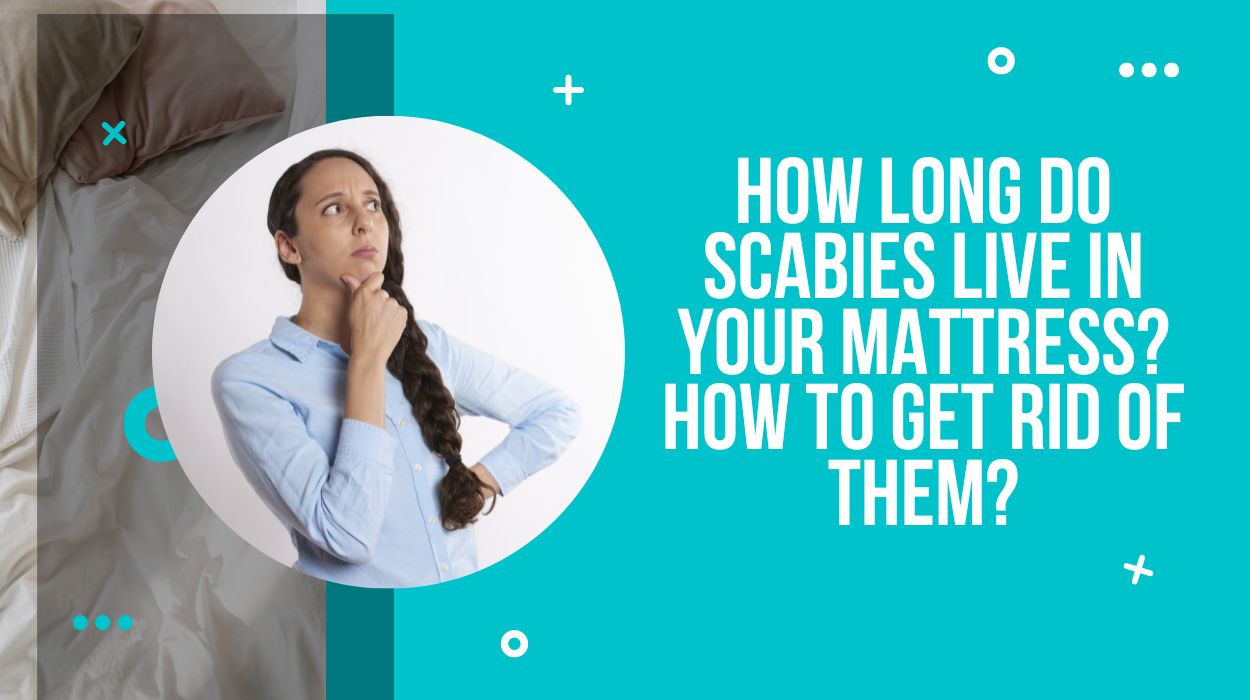 How Long Do Scabies Live In Your Mattress? How To Get Rid Of Them?