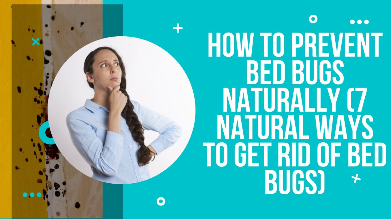 How To Prevent Bed Bugs Naturally (7 Natural Ways To Get Rid Of Bed Bugs)