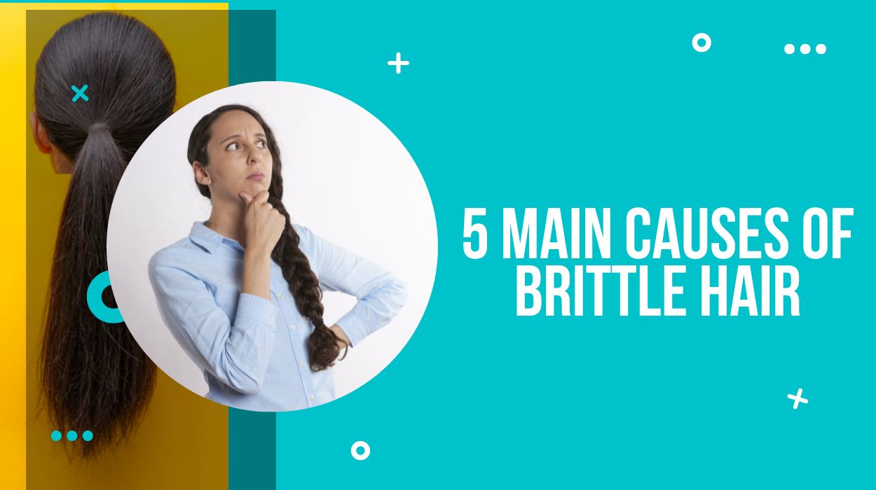 5 Main Causes Of Brittle Hair