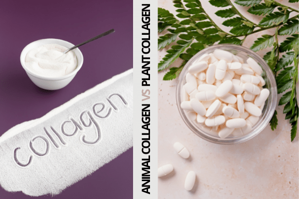 Plant-Based Collagen Vs. Animal Collagen: What's The Difference? - Drug  Research