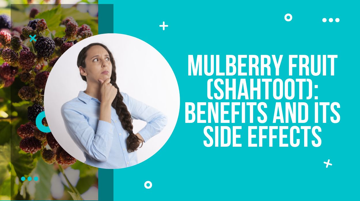 Mulberry Fruit (Shahtoot): Benefits And Its Side Effects