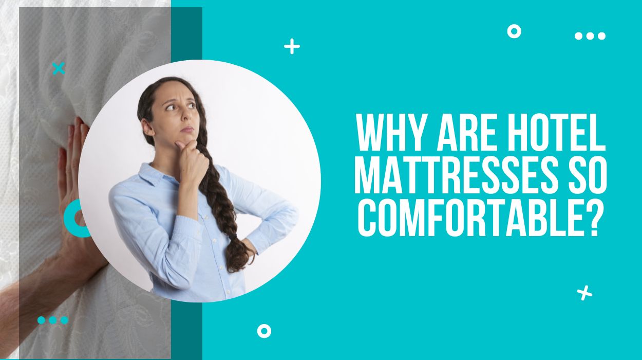 Why are Hotel Mattresses so Comfortable?