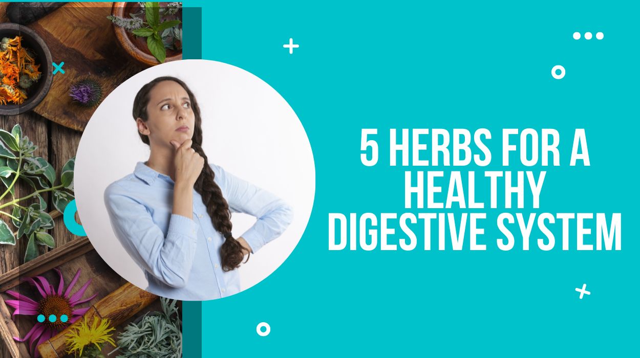 5 Herbs For A Healthy Digestive System