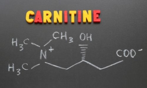 What is L-Carnitine