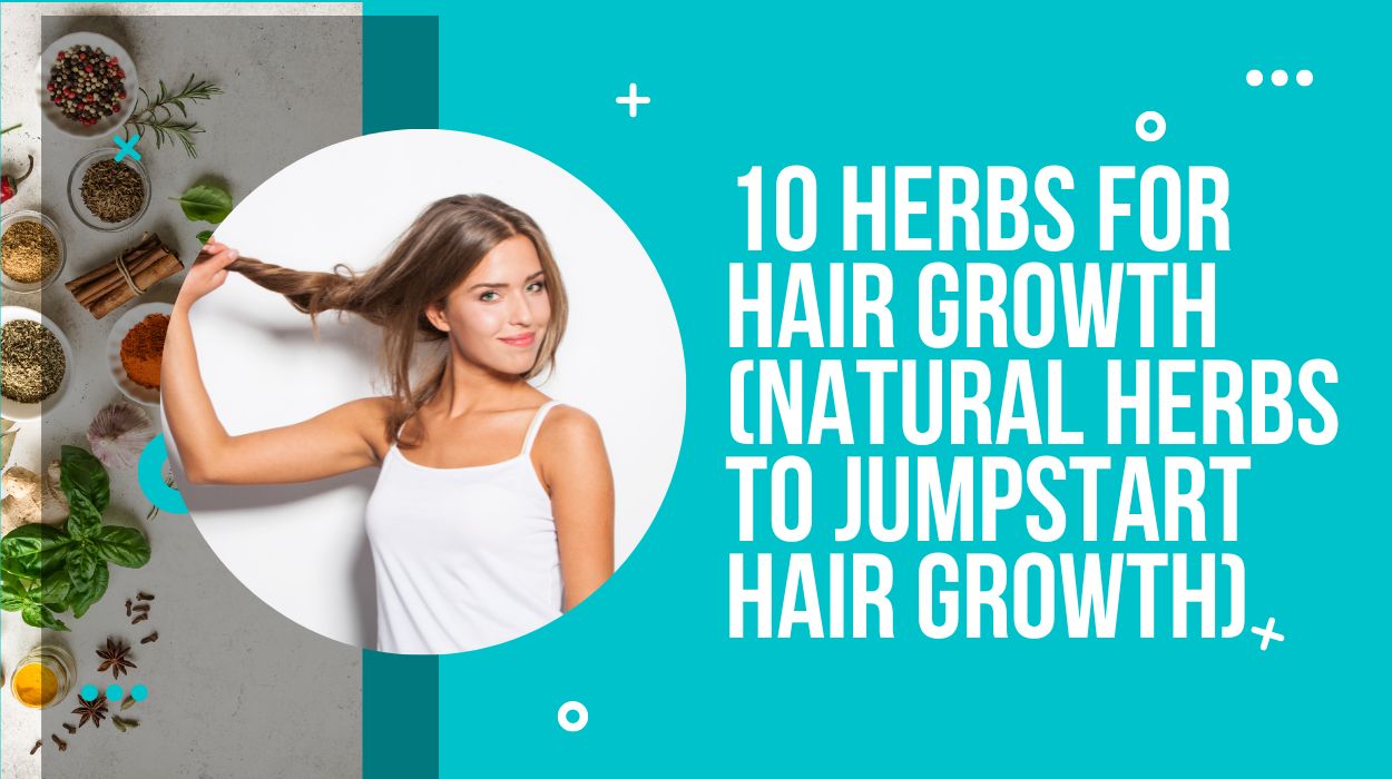 10 Herbs for Hair Growth (Natural Herbs To Jumpstart Hair Growth)