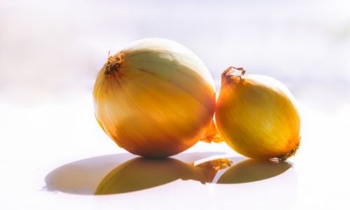 How Does Onion Work?