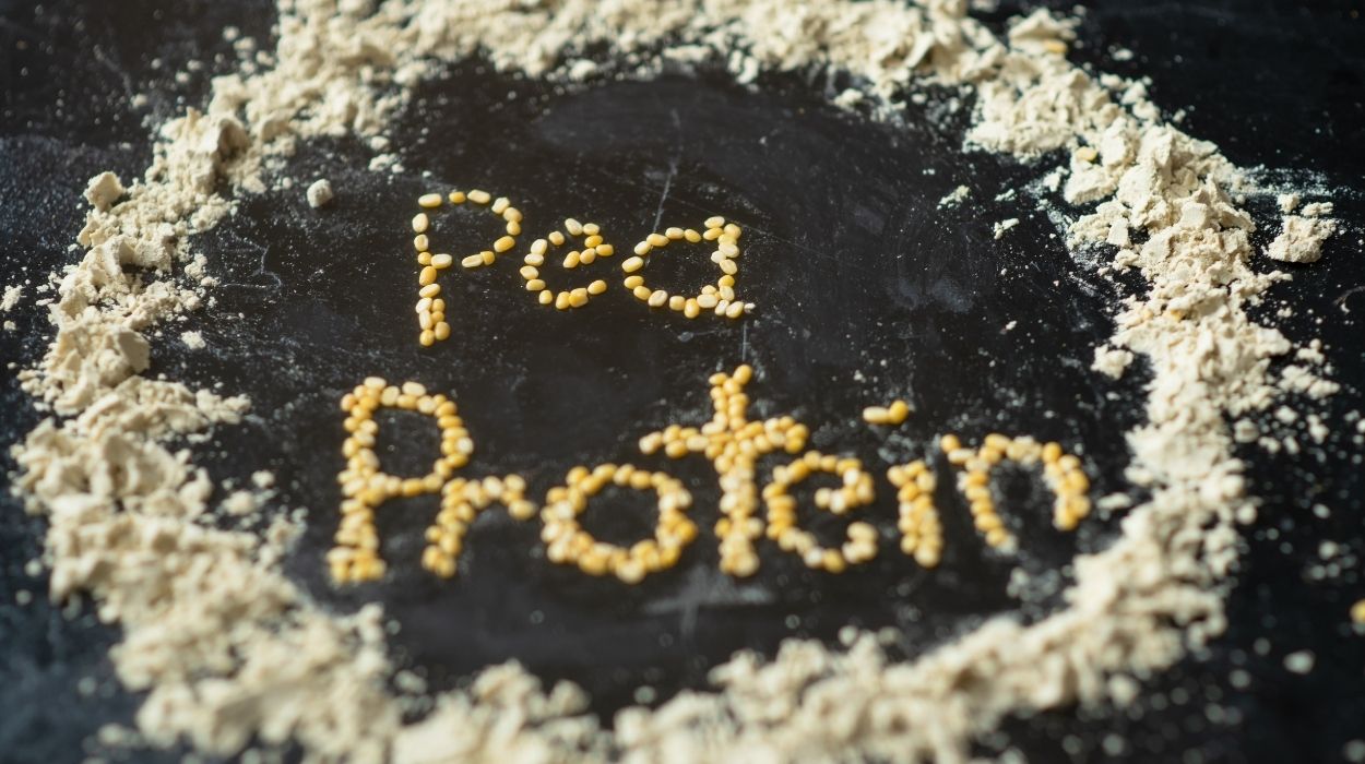 How to make pea protein powder 1