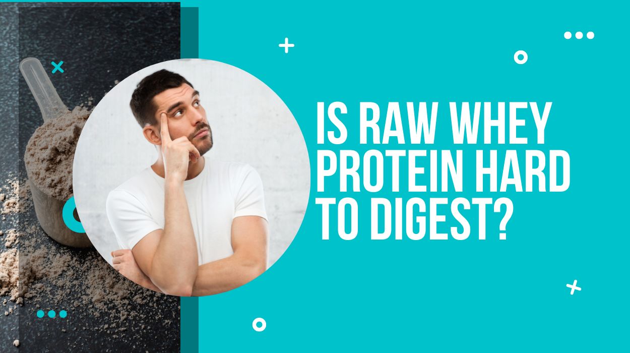 Is Raw Whey Protein Hard To Digest? 