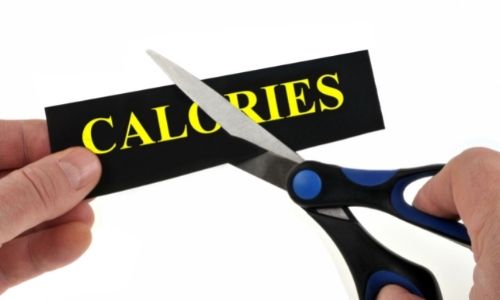 What are the disadvantages of a 500 calorie diet plan?