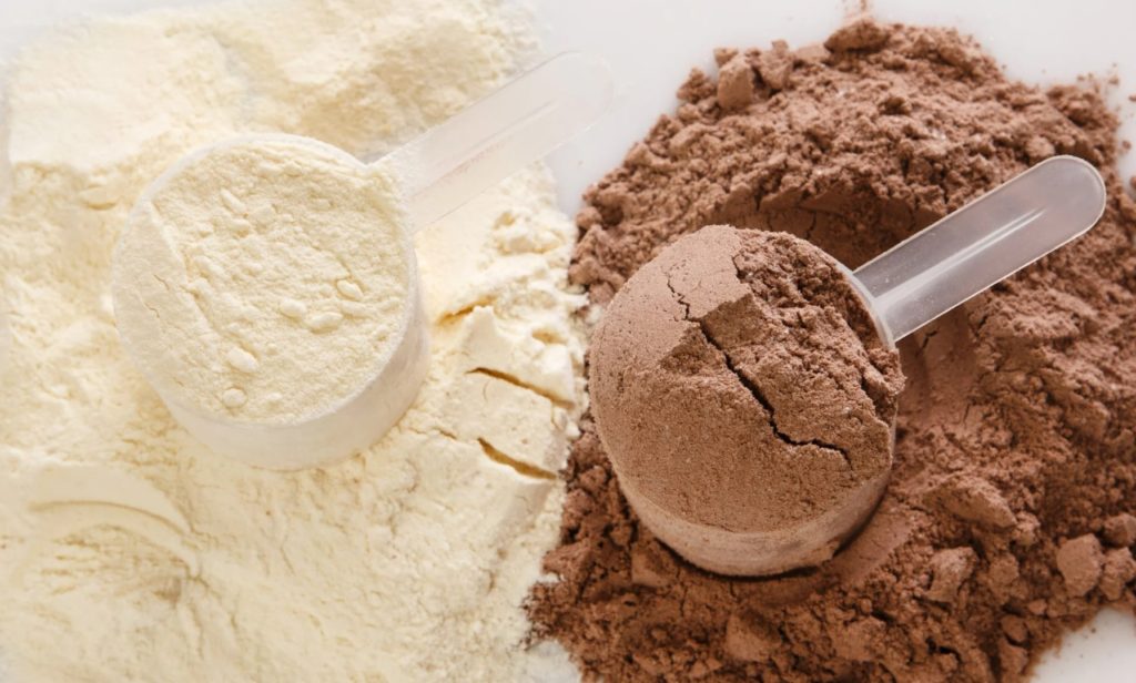 Difference Between Plant Protein and Whey Protein
