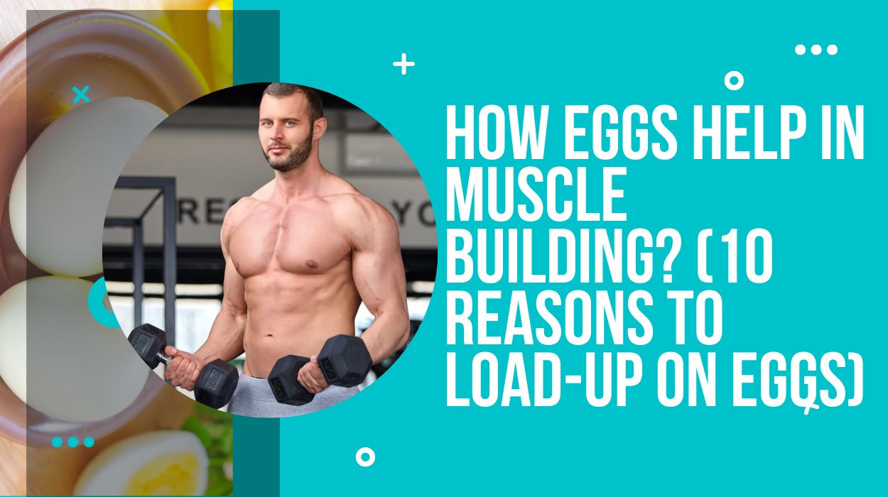 How Eggs Help in Muscle Building? (10 Reasons to Load-Up on Eggs)