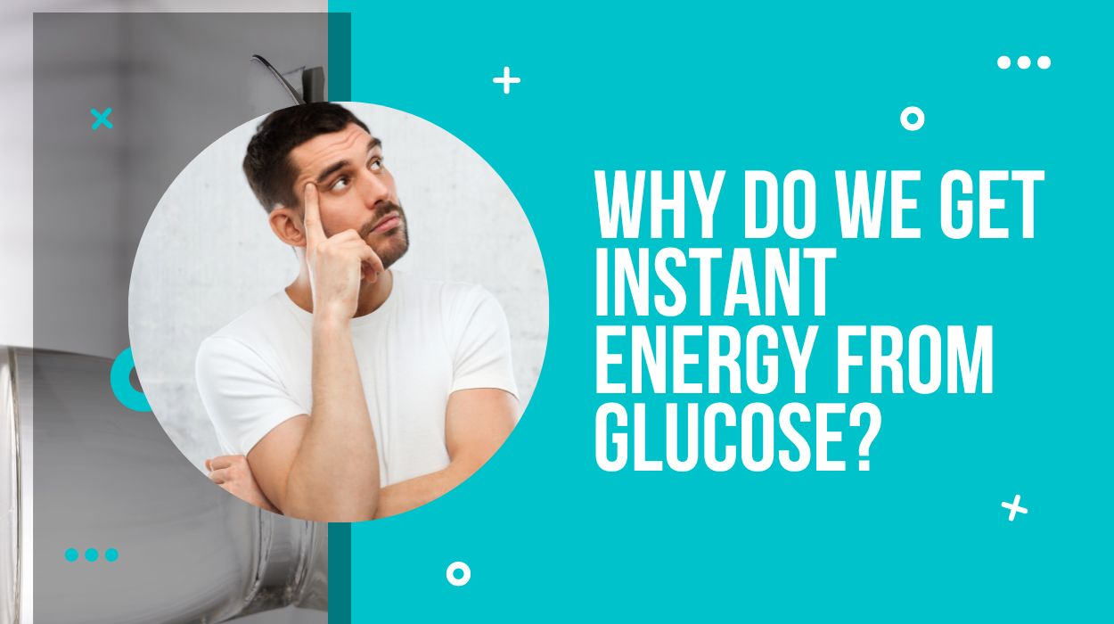 Why Do We Get Instant Energy From Glucose?
