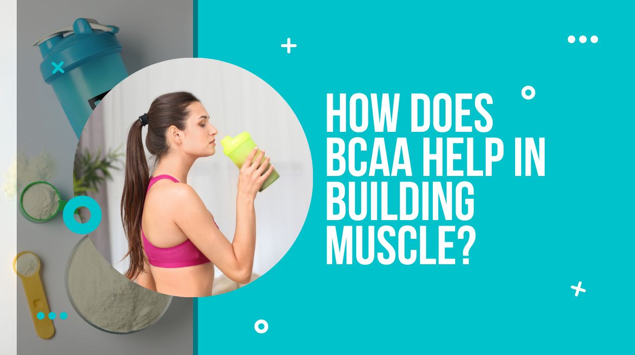 How does BCAA help in building muscle
